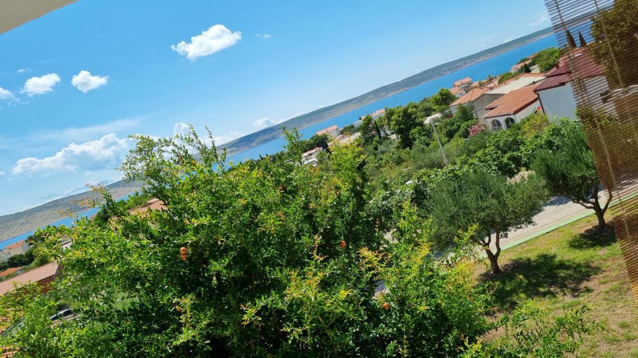 Arts Room Jasmina With Sea View Bikers And Pets Are Welcome Starigrad Paklenica Esterno foto